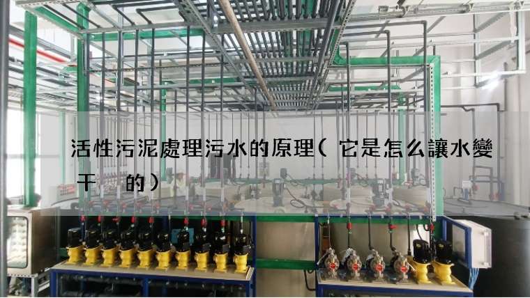 活性污泥處理污水的原理(它是怎么讓水變干凈的)